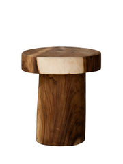 NC Causa Totem