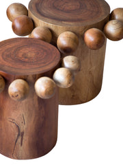 NC Fuente Totem